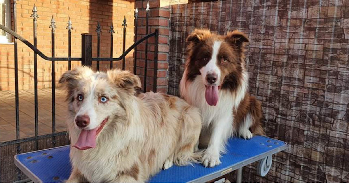 %e3%83%8b%e3%83%8e%e3%83%b3%e6%9c%80%e5%be%8c%e3%81%ae%e5%87%ba%e7%94%a3