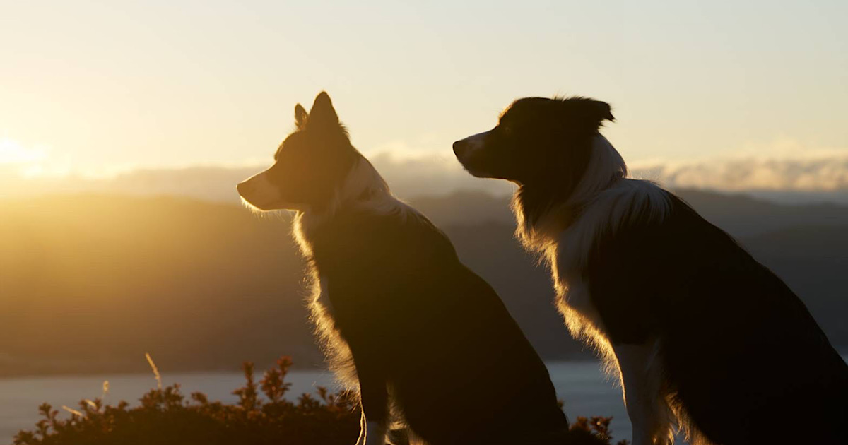 %e4%bb%8a%e5%b9%b4%e3%82%82%e3%81%82%e3%82%8a%e3%81%8c%e3%81%a8%e3%81%86%e3%81%94%e3%81%96%e3%81%84%e3%81%be%e3%81%97%e3%81%9f